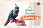 Teekarte - Herzliche Grüße zum Geburtstag Teekarte - Herzliche Grüße zum Geburtstag