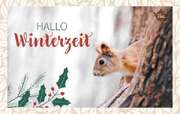 Teekarte - Hallo Winterzeit Teekarte - Hallo Winterzeit