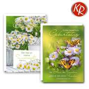 Faltkarten - Geburtstag 10er Set Faltkarten - Geburtstag 10er Set