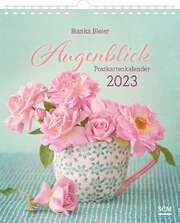 Bianka Bleier - Augenblick 2023 - Postkartenkalender Augenblick 2023 - Postkartenkalender