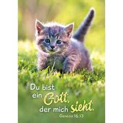 Jahreslosung 2023 - Postkarten, 4 Stück - Katze Jahreslosung 2023 - Postkarten, 4 Stück - Katze