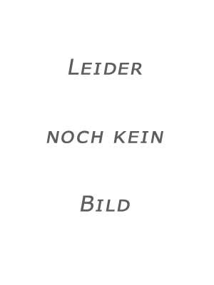Susanne Schulte - Hannah Gufler - Meine liebste Bibel Meine liebste Bibel