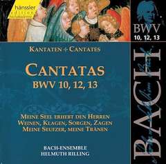 Cantatas Vol.4 (BWV 10,12,13)
