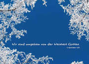 Postkarte "Wir sind umgeben von der Weisheit Gottes" - 5 Stück Postkarte "Wir sind umgeben von der Weisheit Gottes" - 5 Stück