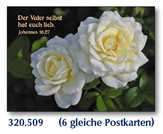 Postkarten Rosen, 6 Stück