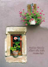 Andrew Cowin - Postkarten Fenster, 6 Stück Postkarten Fenster, 6 Stück
