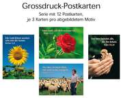 Postkartenserie Grossdruck: gemischt, 12 Stück Postkartenserie Grossdruck: gemischt, 12 Stück
