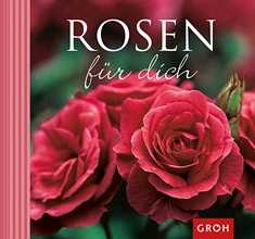 Rosen für dich Rosen für dich