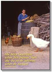 W. Rauch - Postkarten: Alle deine Geschöpfe, 12 Stück Postkarten: Alle deine Geschöpfe, 12 Stück