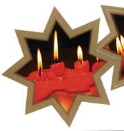 Weihnachtssterne - 24 Stück Weihnachtssterne - 24 Stück
