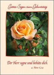 Postkarten Geburtstag, 6 Stück Postkarten Geburtstag, 6 Stück
