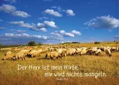Postkarten: Der Herr ist mein Hirte, 4 Stück