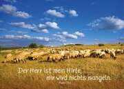 Postkarten: Der Herr ist mein Hirte, 4 Stück Postkarten: Der Herr ist mein Hirte, 4 Stück