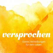 Lothar Kosse - Johannes Falk - Dania König - CD: Versprochen CD: Versprochen