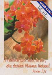 Postkarten Orchideen, 6 Stück Postkarten Orchideen, 6 Stück