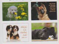 Postkartenserie Hunde - 12 Stück