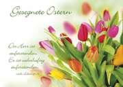 Postkartenserie Tulpenstrauß - 12 Stück Postkartenserie Tulpenstrauß - 12 Stück